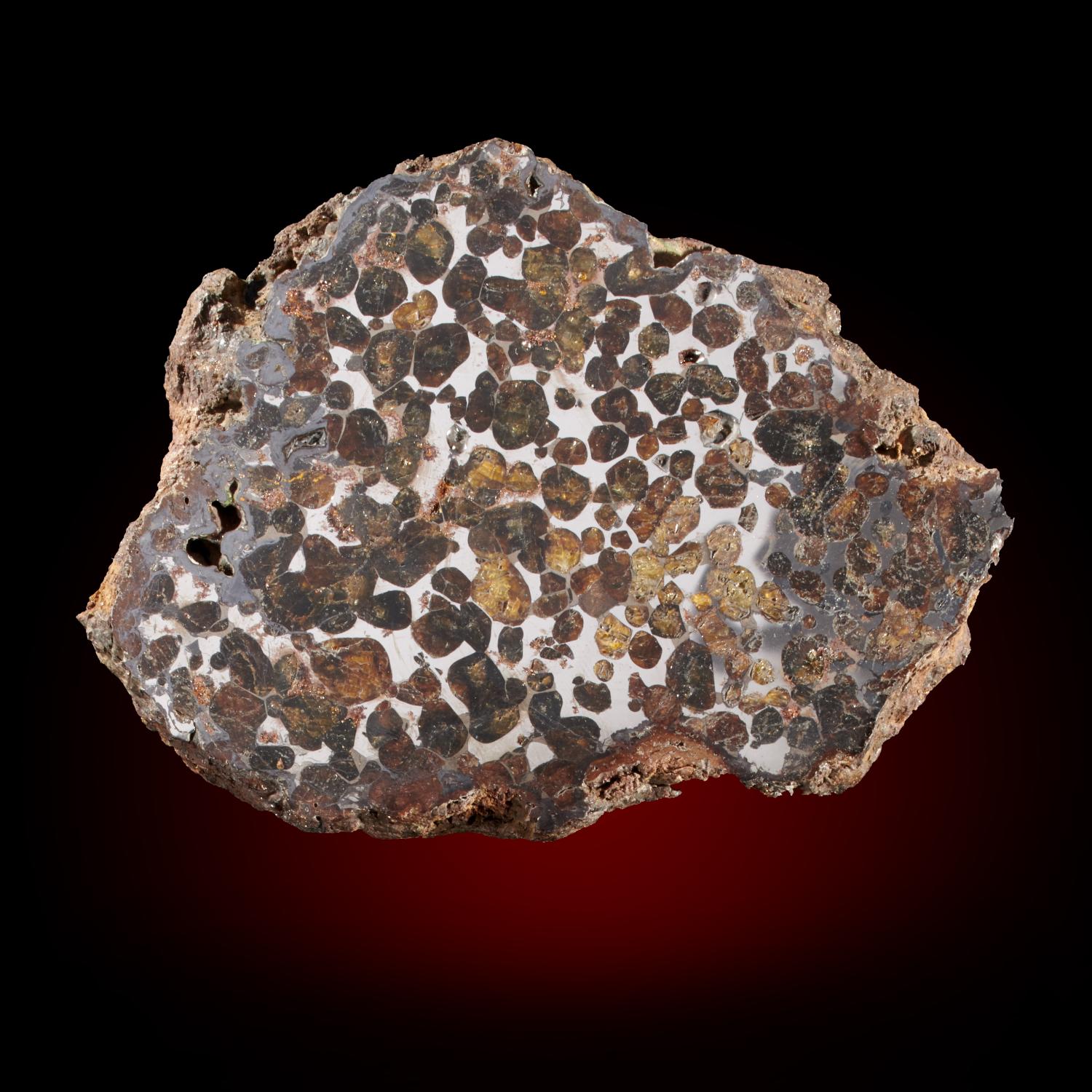 A Pallasite meteorite slice, Sericho Fall, 13.5cm by 10cm, 468g