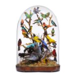 Taxidermy: A Victorian glass dome with tropical birds, late 19th century, 74cm high by 49cm wide