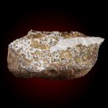 A large Seymchan meteorite, 26cm by 15cm, 8.5kg