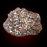 A Pallasite meteorite slice, Sericho Fall, 13cm by 10cm, 458g