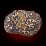 A Pallasite meteorite end cut, Sericho Fall, 11cm by 8cm, 627g