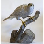 Sculpture/Interior Design: Mike Wood, Siberian Falcon, Hand carved wood and glass eye, Unique,