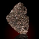 Interior Design: A Pallasite meteorite, Brahin fall, 18cm by 12cm, 5.1kg, This meteorite is a
