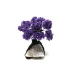 Interior Design/Minerals: An amethyst tree with nine petals on composition and amethyst base,