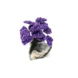 Interior Design/Minerals: An amethyst tree with fifteen petals on composition and amethyst base