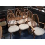 10 x Ercol blonde dining chairs