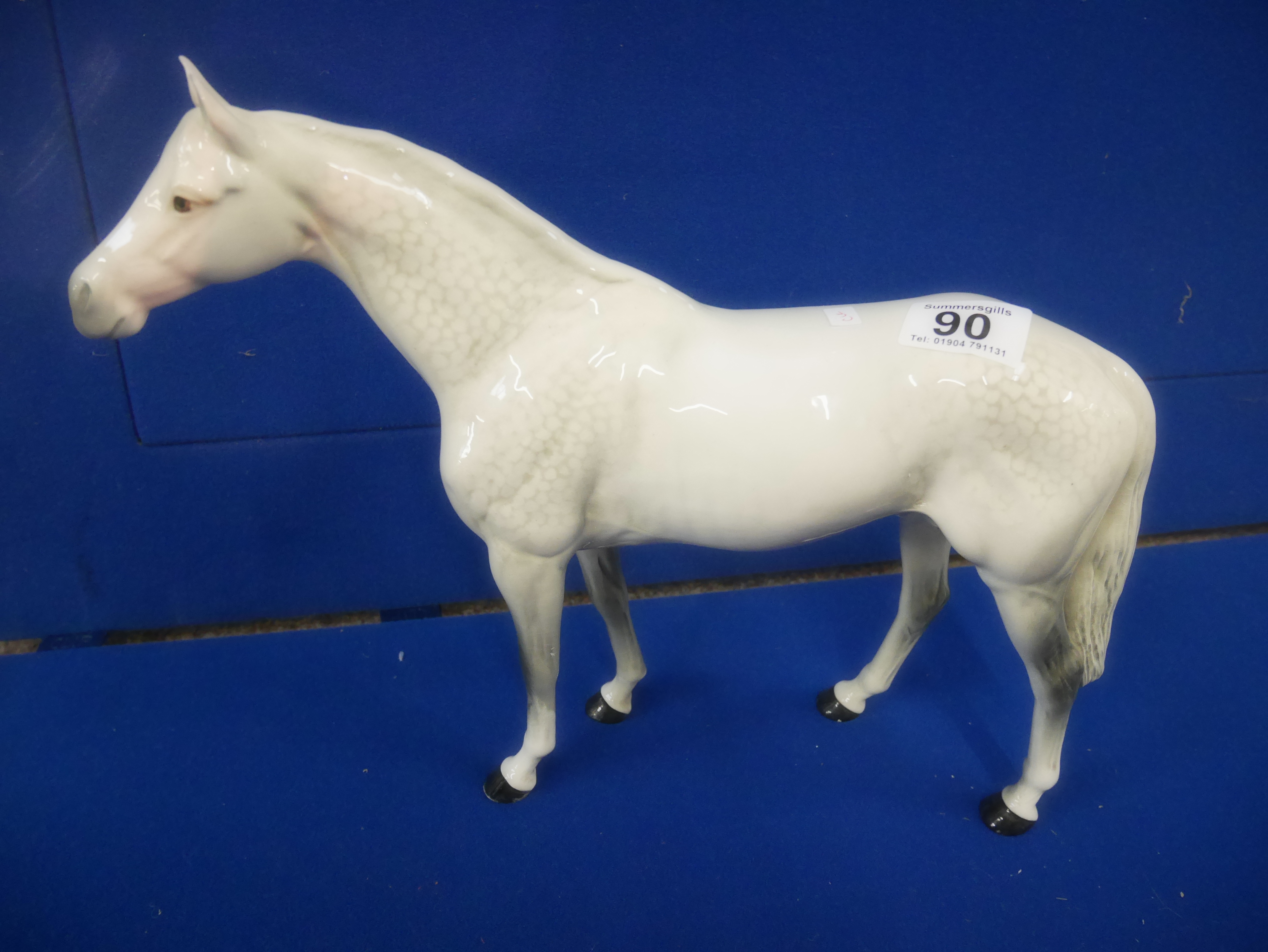 Large White Beswick stallion