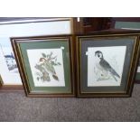 Selection of pictures , etchings of Whitby etc.