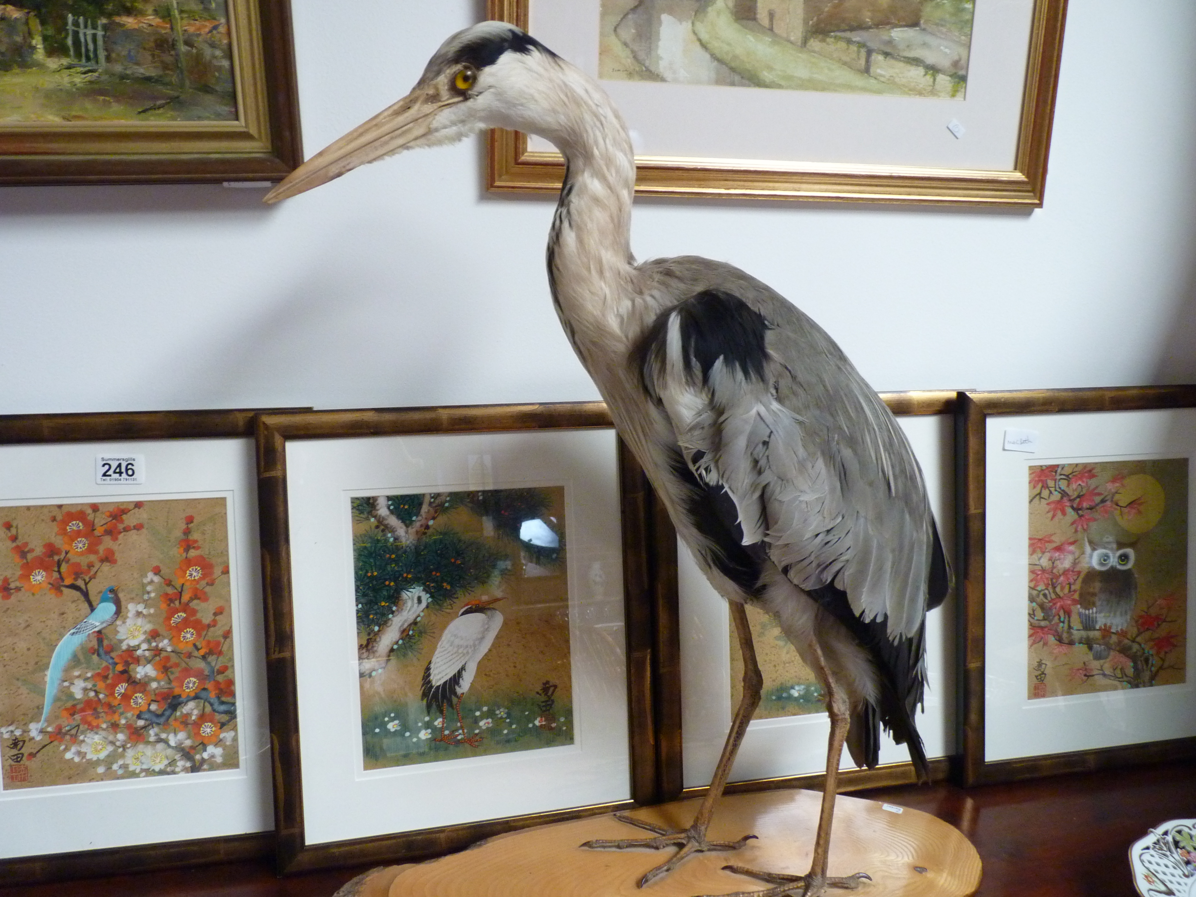 Stuffed Heron Bird on Plinth