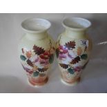Pair of Victorian vases and brass fire rests