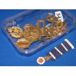 Collection of Military badges + nursing gild medal