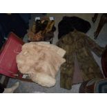 Vintage furs, minks and suitcase