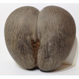 NATURAL HISTORY, A COCO DE MER NUT (LODOICEA) This driftseed, which is famed for its resemblance