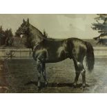 HORSERACING PHOTOGRAPH, 'CHARLEMAGNE II', 1920 Framed and glazed. (78cm x 64cm)