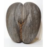 NATURAL HISTORY, A COCO DE MER NUT (LODOICEA) This driftseed which is famed for its resemblance to