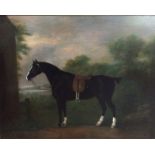 JOHN BOULTBEE, 1753 - 1812, OIL ON CANVAS Study of a horse, a saddled horse in standing pose with