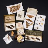 A LARGE 19TH CENTURY ENTOMOLOGICAL COLLECTION CONTAINING BUTTERFLIES, MOTHS AND INSECTS.