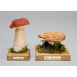 TWO UNIQUE AND SCIENTIFICALLY CORRECT WILD MUSHROOM MODELS. (largest measuring h 14cm)