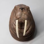 A 20TH CENTURY IMITATION TAXIDERMY WALRUS HEAD Hand painted and scientifically correct fibre glass