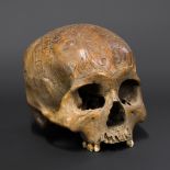 A 19TH CENTURY DAYAK TRIBE HEADHUNTERS CARVED TROPHY HUMAN SKULL.