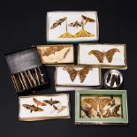A LARGE 19TH CENTURY ENTOMOLOGICAL COLLECTION CONTAINING BUTTERFLIES, MOTHS AND INSECTS.