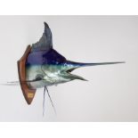 A TAXIDERMY BLUE MARLIN TROPHY MOUNT ON OAK SHIELD With original fishing hook, plaque inscribed ‘