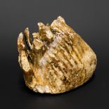 A WOOLLY MAMMOTH MOLAR North Sea, Pleistocene period, treated with acetone for longevity. (l 14.