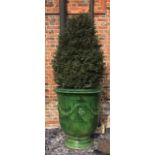 POTTERY LA MADELEINE, A LARGE FRENCH GLAZED TERRACOTTA GARDEN JARDINIERE With shrub. (diameter