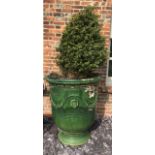 POTTERY LA MADELEINE, A LARGE FRENCH GLAZED TERRACOTTA GARDEN JARDINIERE With shrub. (diameter