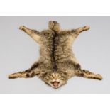 AN EARLY 20TH CENTURY TAXIDERMY SCOTTISH WILDCAT SKIN RUG WITH MOUNTED HEAD. (l 80cm x w 54cm)