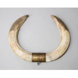 A LARGE AND IMPRESSIVE PAIR OF LATE 19TH CENTURY MOUNTED HIPPOPOTAMUS TUSKS. (w 50cm)