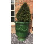 POTTERY LA MADELEINE, A LARGE FRENCH GLAZED TERRACOTTA GARDEN JARDINIERE With shrub. (diameter