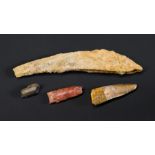 A COLLECTION OF DINOSAUR FOSSILS Including a Spinosaur tooth, a Hybodus Shark fin spine, a