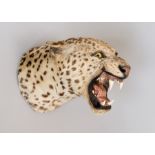 THEOBALD BRO’S OF MYSORE, AN EARLY 20TH CENTURY TAXIDERMY INDIAN SNARLING LEOPARD Dated 1913,