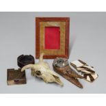 A 20TH CENTURY MIXED GROUP OF ITEMS CONTAINING A SET OF ZEBRA SKIN DRINKS COASTERS, A CROCODILE HEAD