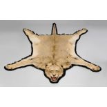 A MID 20TH CENTURY TAXIDERMY LION SKIN RUG WITH MOUNTED HEAD. Modelled with a snarling pose. (l