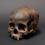 A 19TH CENTURY IFUGAO TRIBE HEADHUNTERS TROPHY HUMAN SKULL.