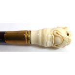 A 19TH CENTURY IVORY AND ROSEWOOD WALKING STICK Having a carved dog's head to handle set with