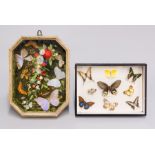 TWO LATE 19TH CENTURY FRAMED SETS OF BUTTERFLIES AND MOTHS. (largest 32cm x 43cm) Provenance: Estate