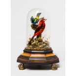 A LATE 19TH CENTURY TAXIDERMY DISPLAY OF EXOTIC BIRDS UNDER GLASS DOME One a Scarlet Tanager, the