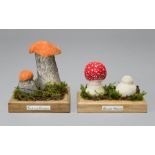 TWO UNIQUE AND SCIENTIFICALLY CORRECT WILD MUSHROOM MODELS. (largest measuring h 13.5cm)