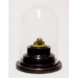 A HAND PAINTED LIFE CAST OF A COMMON FROG ON AN EBONISED VICTORIAN PLINTH UNDER GLASS DOME. (h