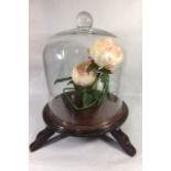 A 20TH CENTURY GLASS BELL FORM DOME Raised on a mahogany base. (approx 47cm)