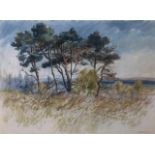 FOLLOWER OF CLIFFORD BAYLY, B. 1927, WATERCOLOUR Landscape, tall trees near a river, signed lower