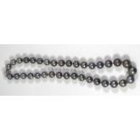 LANGER, AUSTRIA, A SILVER AND TAHITIAN BLACK PEARL NECKLACE The single row of graduating black