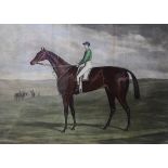 A 19TH CENTURY COLOURED ENGRAVING OF A RACING HORSE, ?MERRY HAMPTON? Framed and glazed. (frame