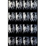 AMANDA ELIASCH, A SET OF SIXTEEN BLACK AND WHITE PHOTOGRAPHIC PRINTS FRAMED AS ONE Continuous