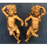 A PAIR OF DECORATIVE 19TH CENTURY ITALIAN CARVED GILTWOOD CHERUBS. (h 53cm x 28cm)