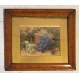 E. CARTER, VICTORIAN WATERCOLOUR Still life grapes, birdseye maple framed and glazed. (45cm x 39cm)