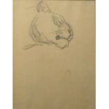 THEOPHILE STEINLEN, 1859 - 1923, PENCIL SKETCH ANIMAL STUDY Titled ?Lioness Head?, bearing a gallery